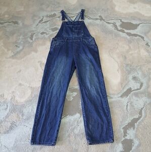 We The Free Ziggy Denim Overalls
